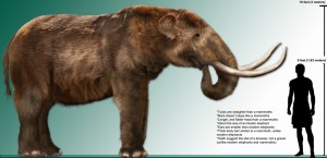 High_res_mastodon_1024g